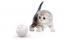 Xiaomi Petoneer Pet умный мячик для кошек Xiaomi Petoneer Pet умный мячик для кошек